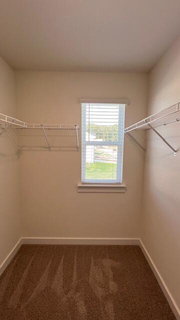 Building Photo - 4234 Belcourt Dr