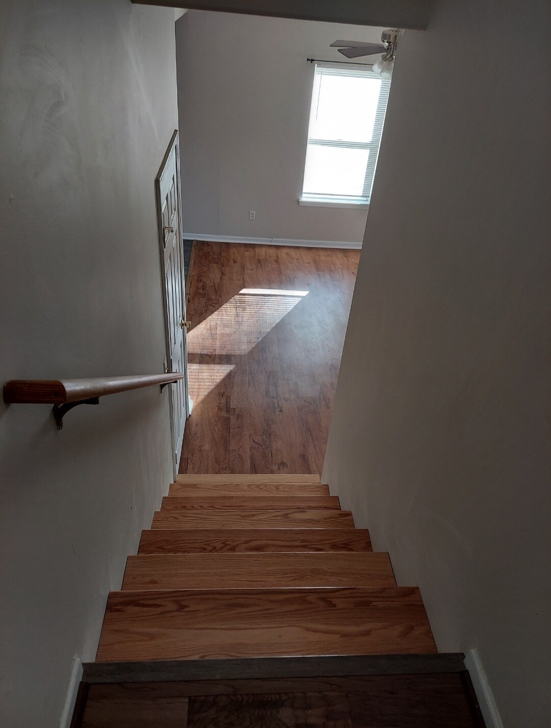 Building Photo - 2006 Rashid Ct