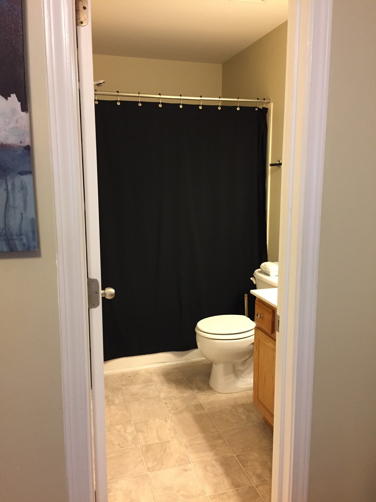 Main bath - 1801 Trailwood Heights Lane