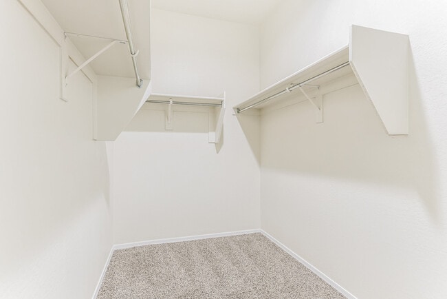 Building Photo - Bright Coolidge 4-Bedroom Home