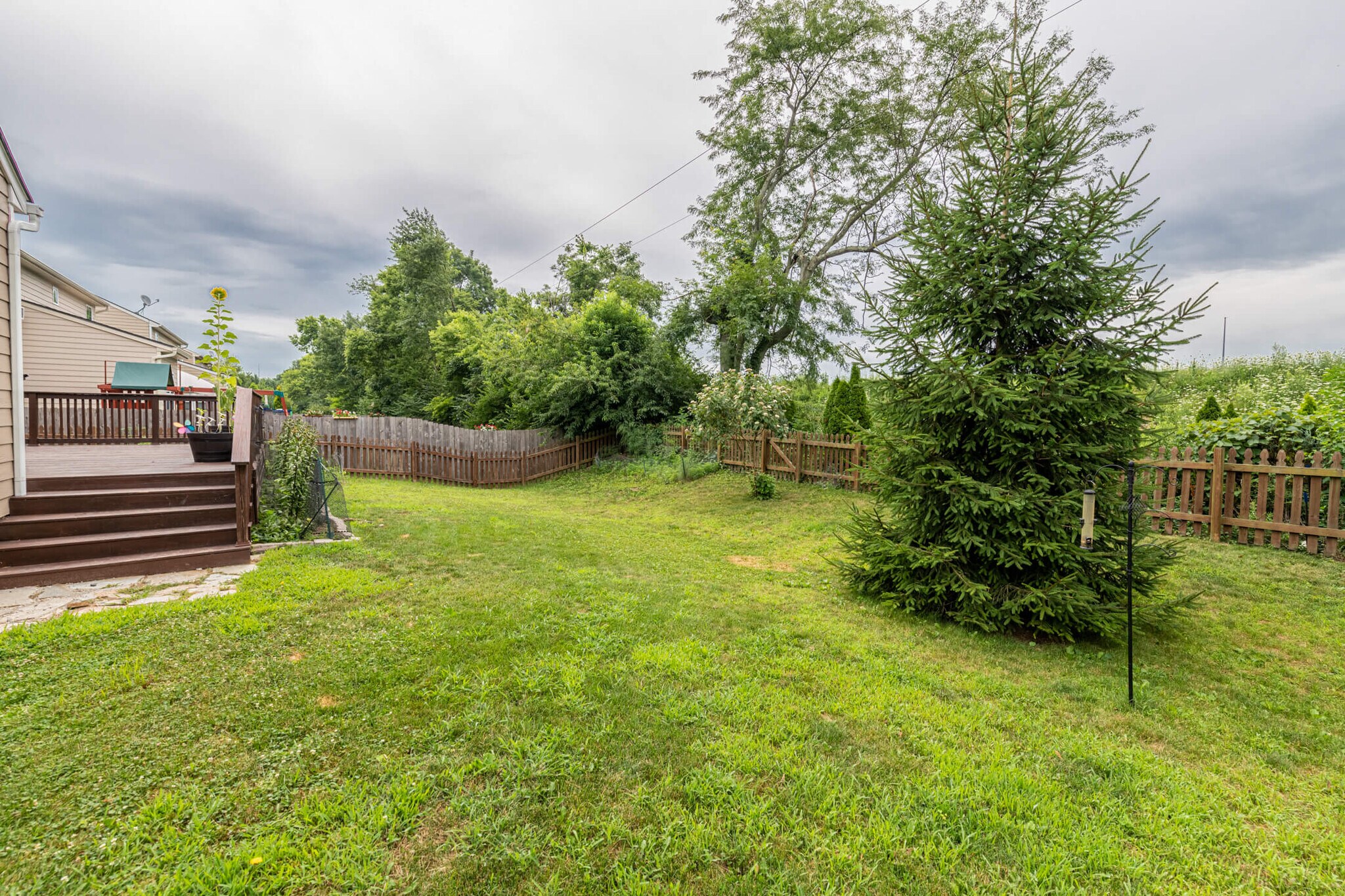 Backyard - 3300 Federalist Dr
