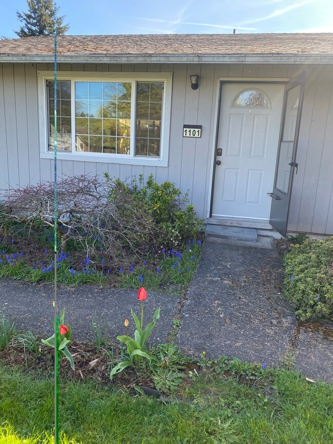 Building Photo - 1101 Hughes St