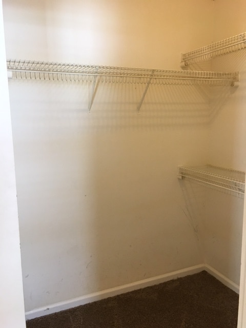 Building Photo - Beautiful 3 Bedroom/2 Bath Home in Valdosta GA