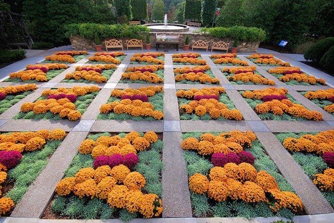 Building Photo - South AVL - Spacious 1/1 Apt with Sunroom!