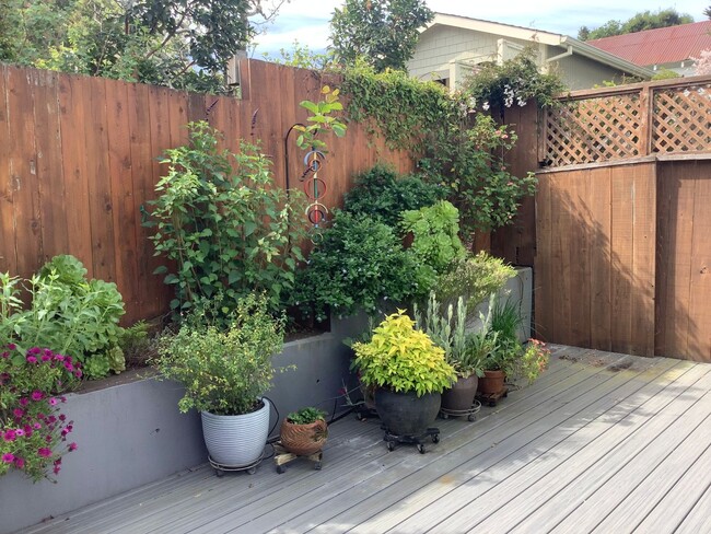 Building Photo - Updated 2 bedroom, 2 1/2 bathroom townhouse in downtown Sebastopol