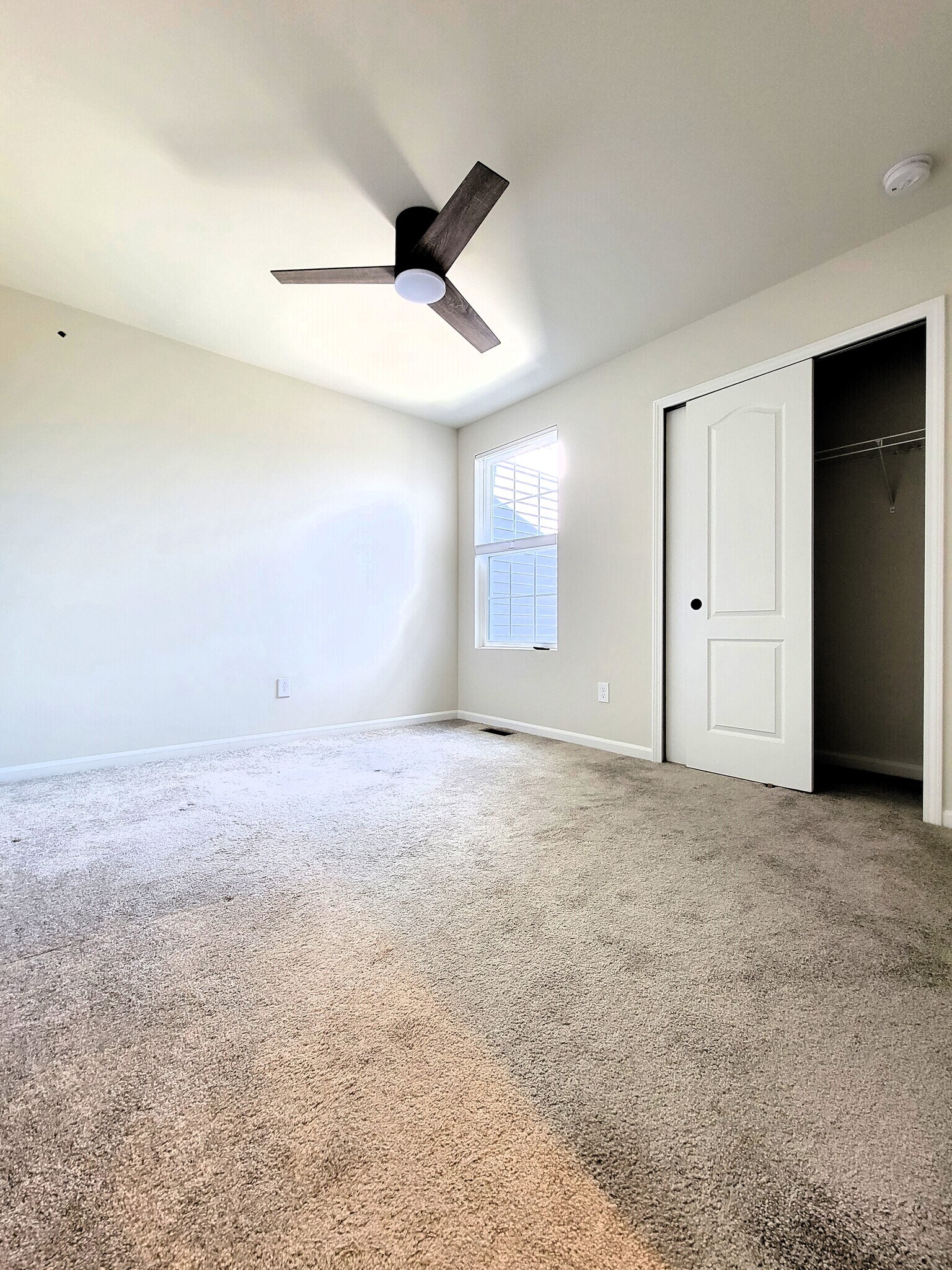 Building Photo - 4709 Broomfield Way