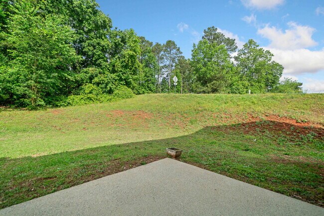 Building Photo - 4405 Feather Way