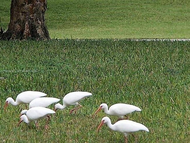 Building Photo - 15610 SW 105th Ln