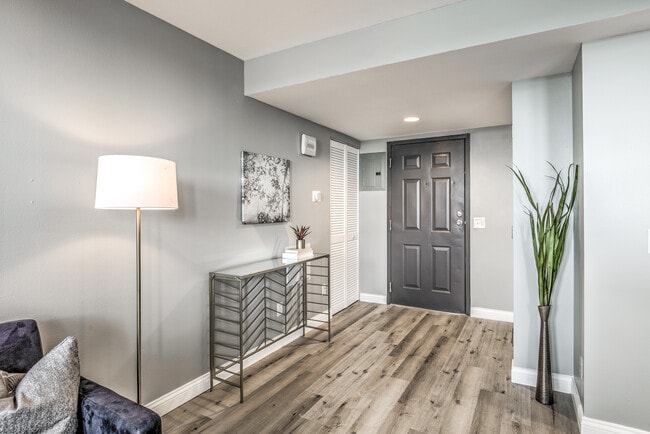 Floorplan - The Delmonte