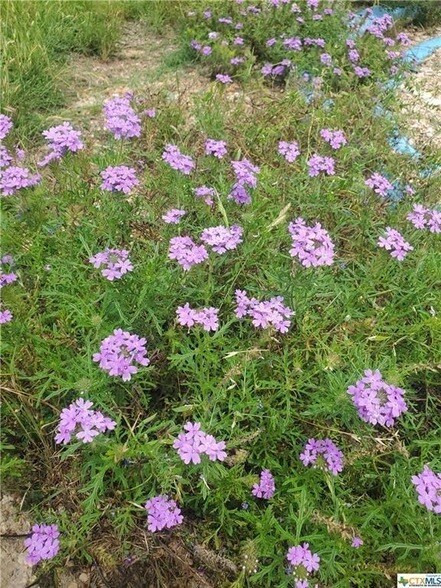 Building Photo - 1217 Craig St