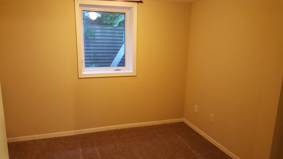 Bedroom 5 (basement) - 1005 1st St SW