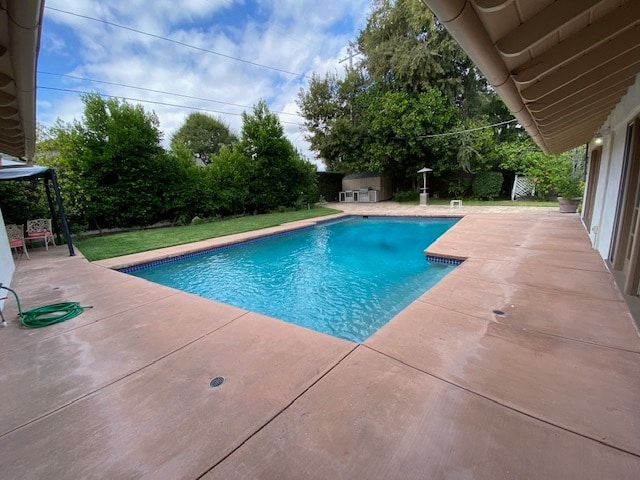 Backyard - 4629 Forman Ave