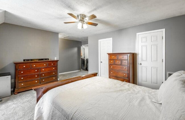 Building Photo - 41 Cedar Tree Ln