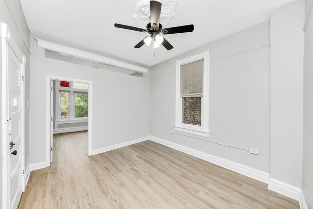 Building Photo - 1626 N Honore St