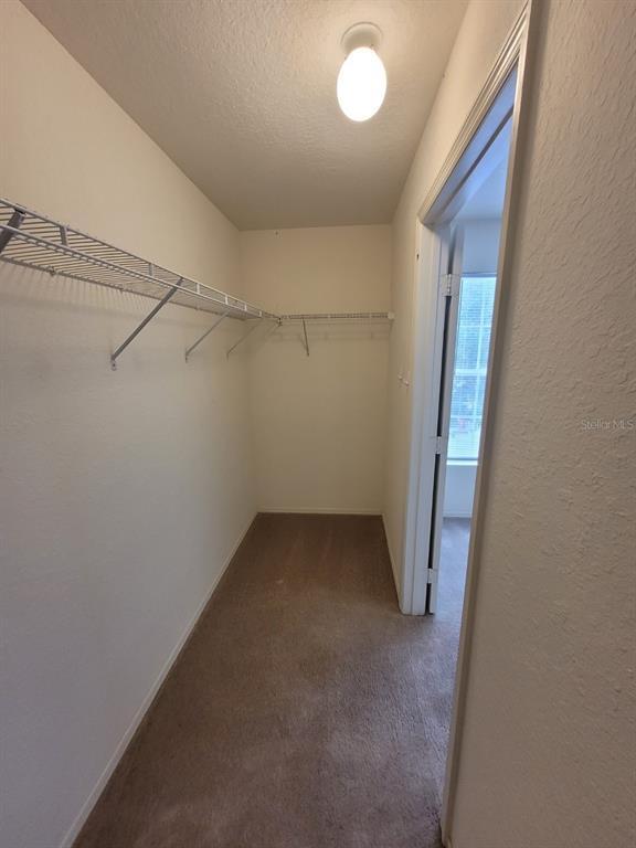 Building Photo - 36137 Lake Chase Blvd