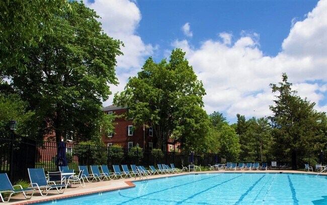 Swimming pool at the back of the building - 2873 S Buchanan St