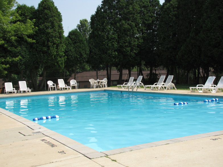 Pool with sundeck - Woodgate North