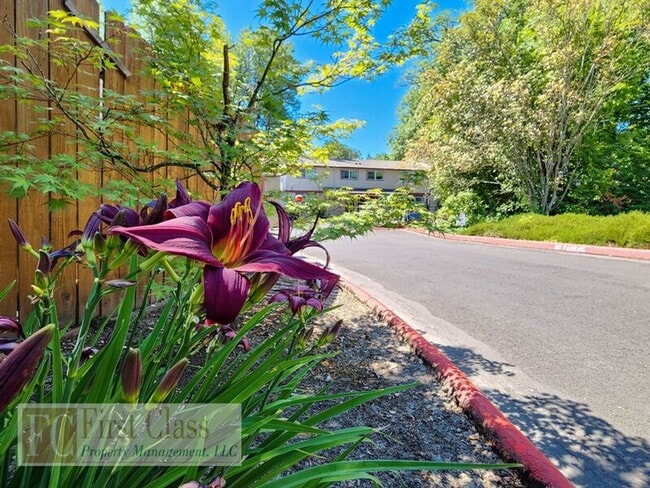 Building Photo - The Village Apartments