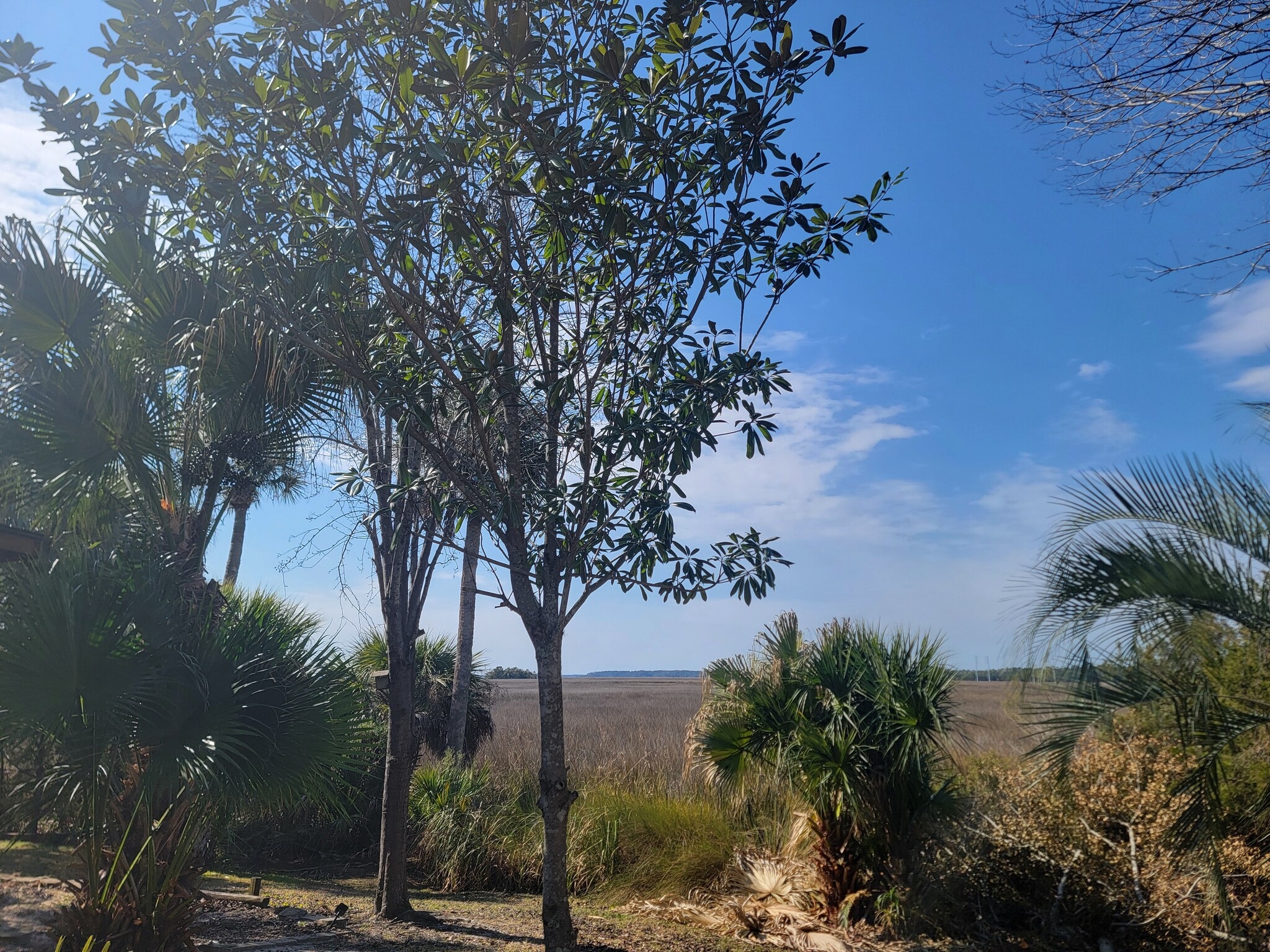 Building Photo - 137 Marsh Edge Ln