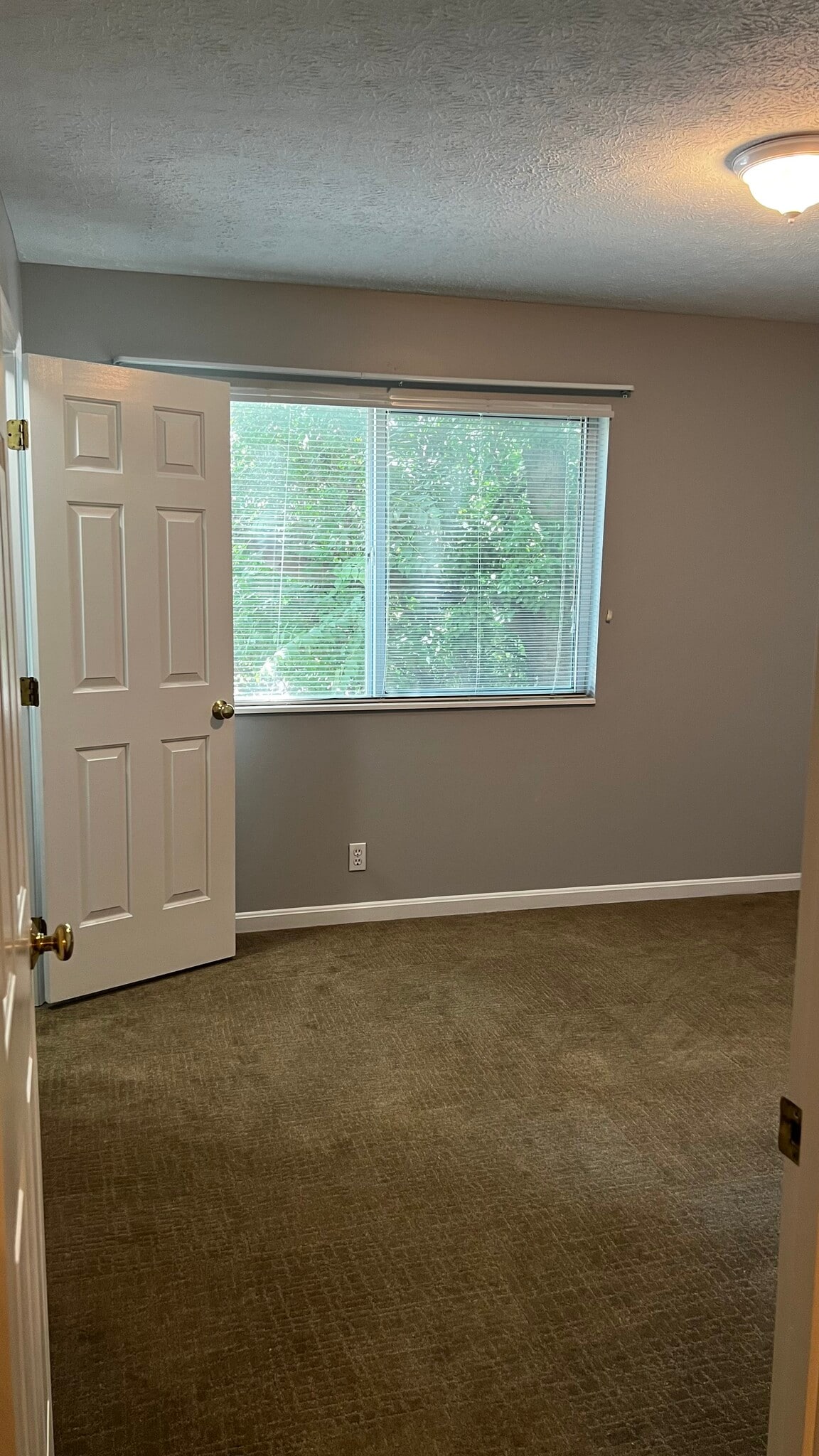 Building Photo - 4204 Browns Ln