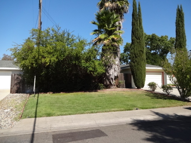 Building Photo - SINGLE STORY, 4 BED, 2 BA, LARGE LOT, ARDEN ARCADE AREA