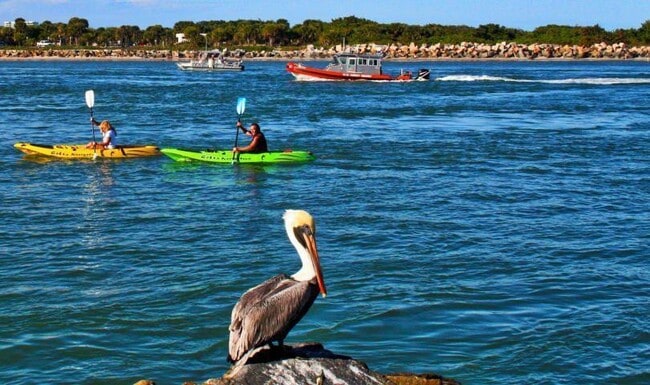 Building Photo - 5159 N Hwy A1A