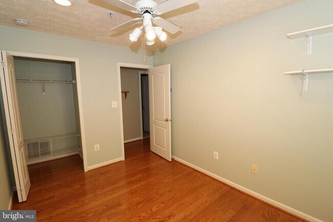 Building Photo - 3312 Hibiscus Ct