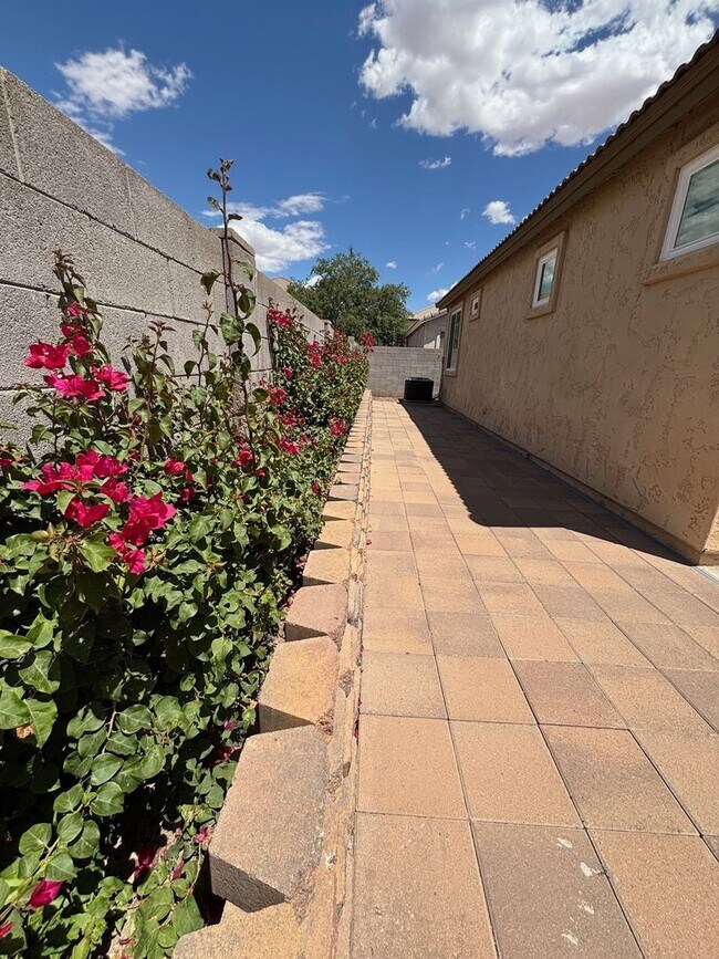 Building Photo - Single Level San Tan Valley Home