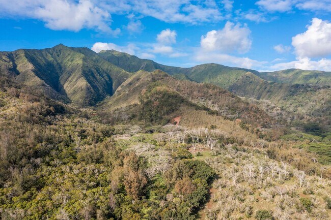 Building Photo - Brand-New 2BR/2BA Home with A/C & Huge Covered Lanai – Wailuku Country Estates