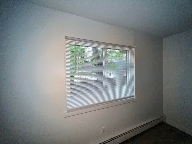 Building Photo - 255 Elmwood Ave
