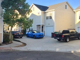 Driveway - 2456 Palmvilla Ct