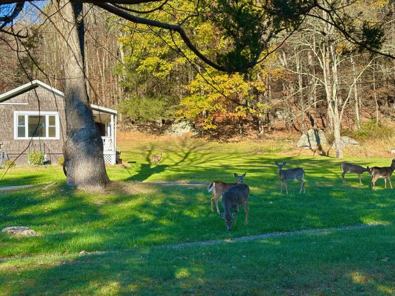 Building Photo - 4502 State Rt 17B