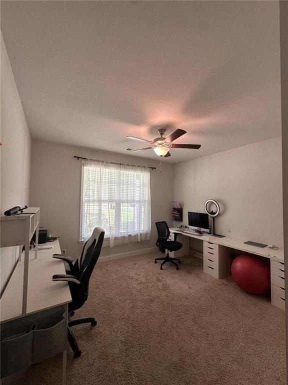 Building Photo - 205 Birdie Cir