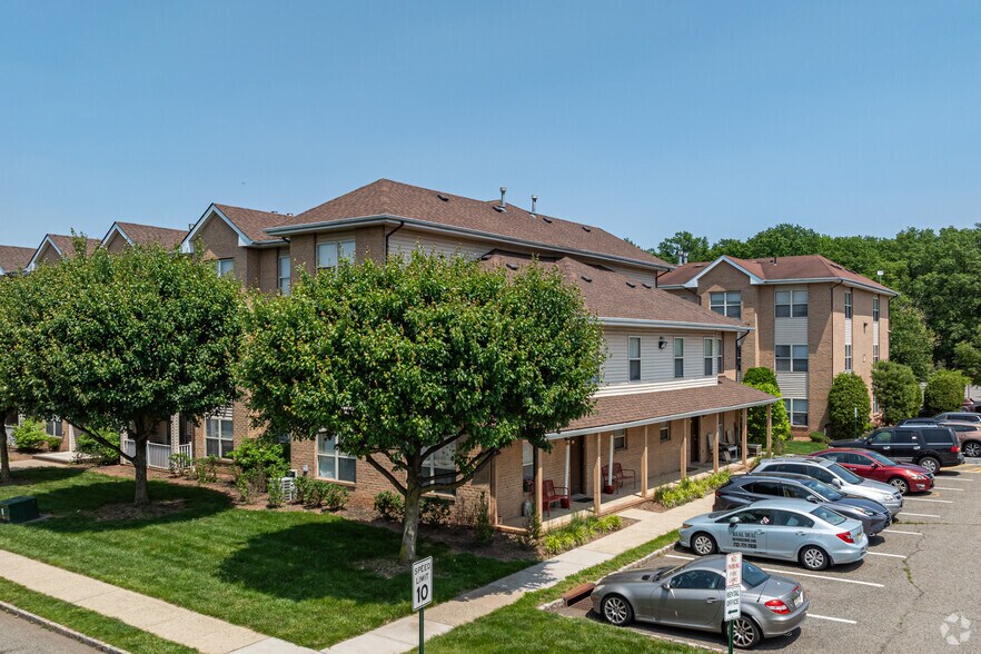 Alternate - Forest View