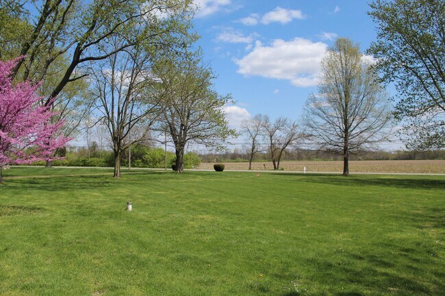 Building Photo - 3 BR Ranch on a Great Country Setting!