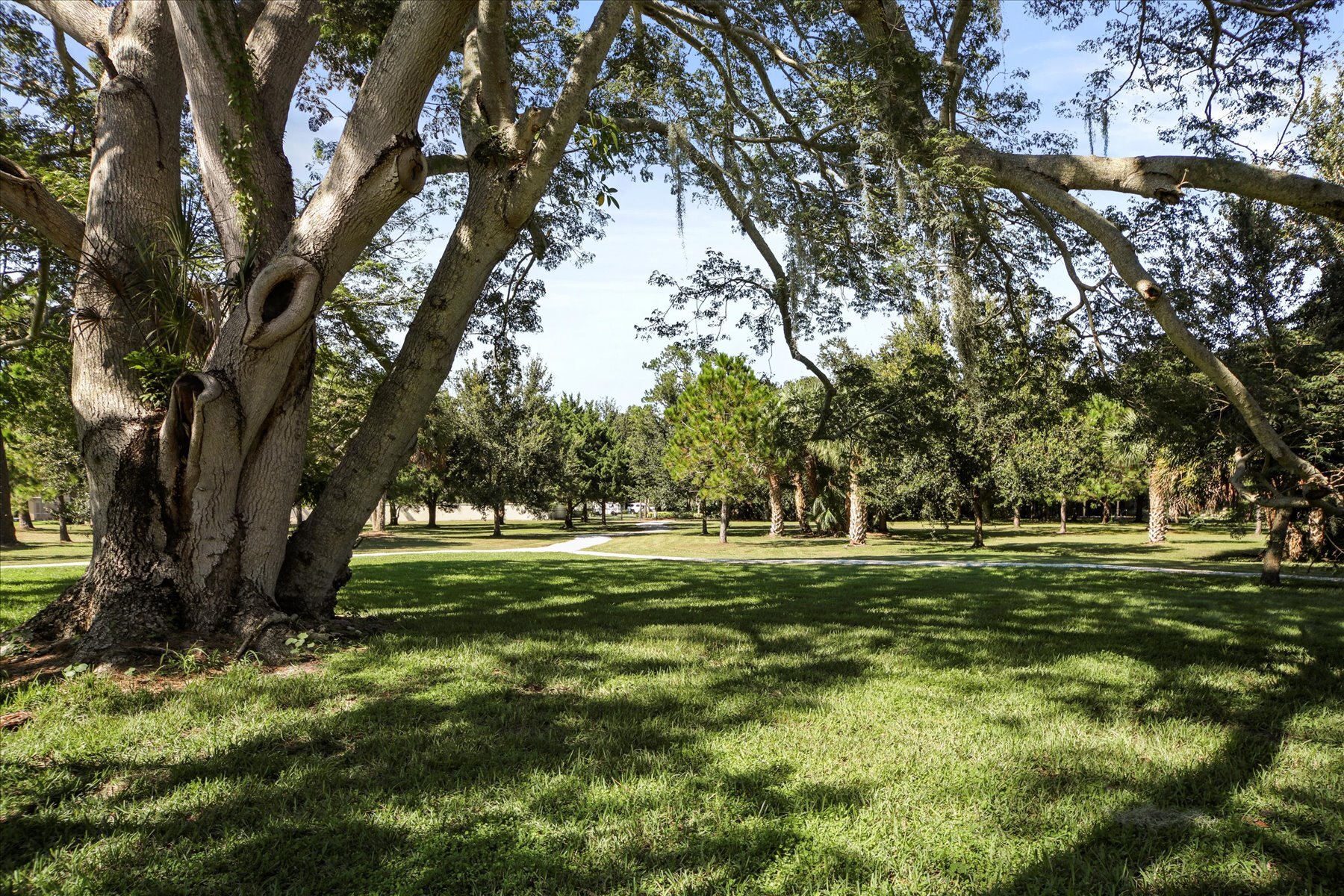 Building Photo - 1711 Starling Dr