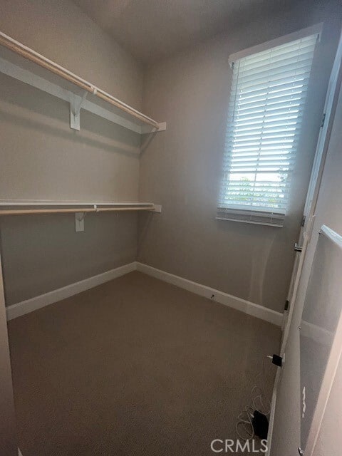 Building Photo - 7256 Highwater Dr