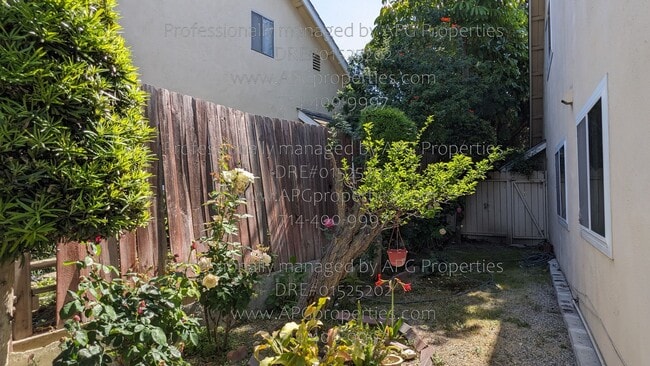 Building Photo - 3246 Dolonita Ave