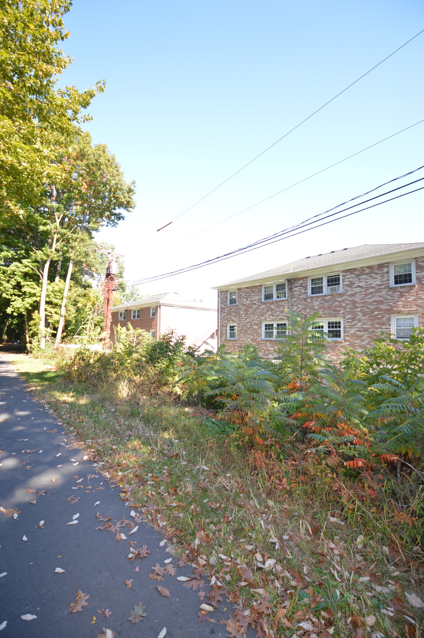 Building Photo - 18 Austin Ct