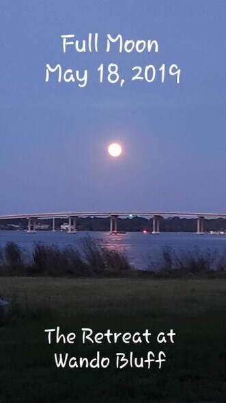 Building Photo - 124 Bluffview Ln