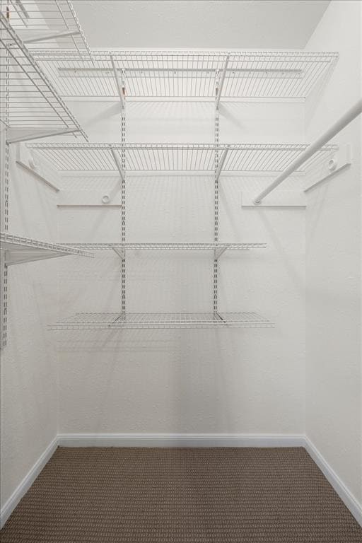 Building Photo - 1604 Cinnamon Path