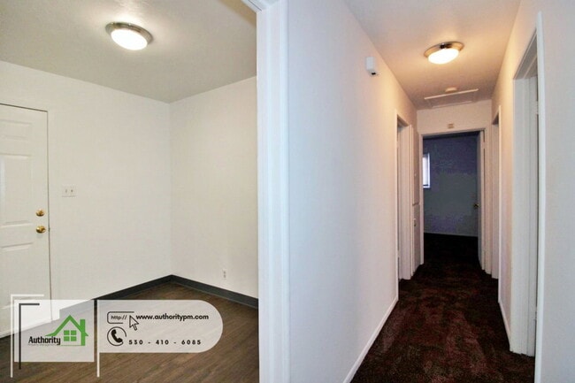 Building Photo - 3120 Stingy Ln