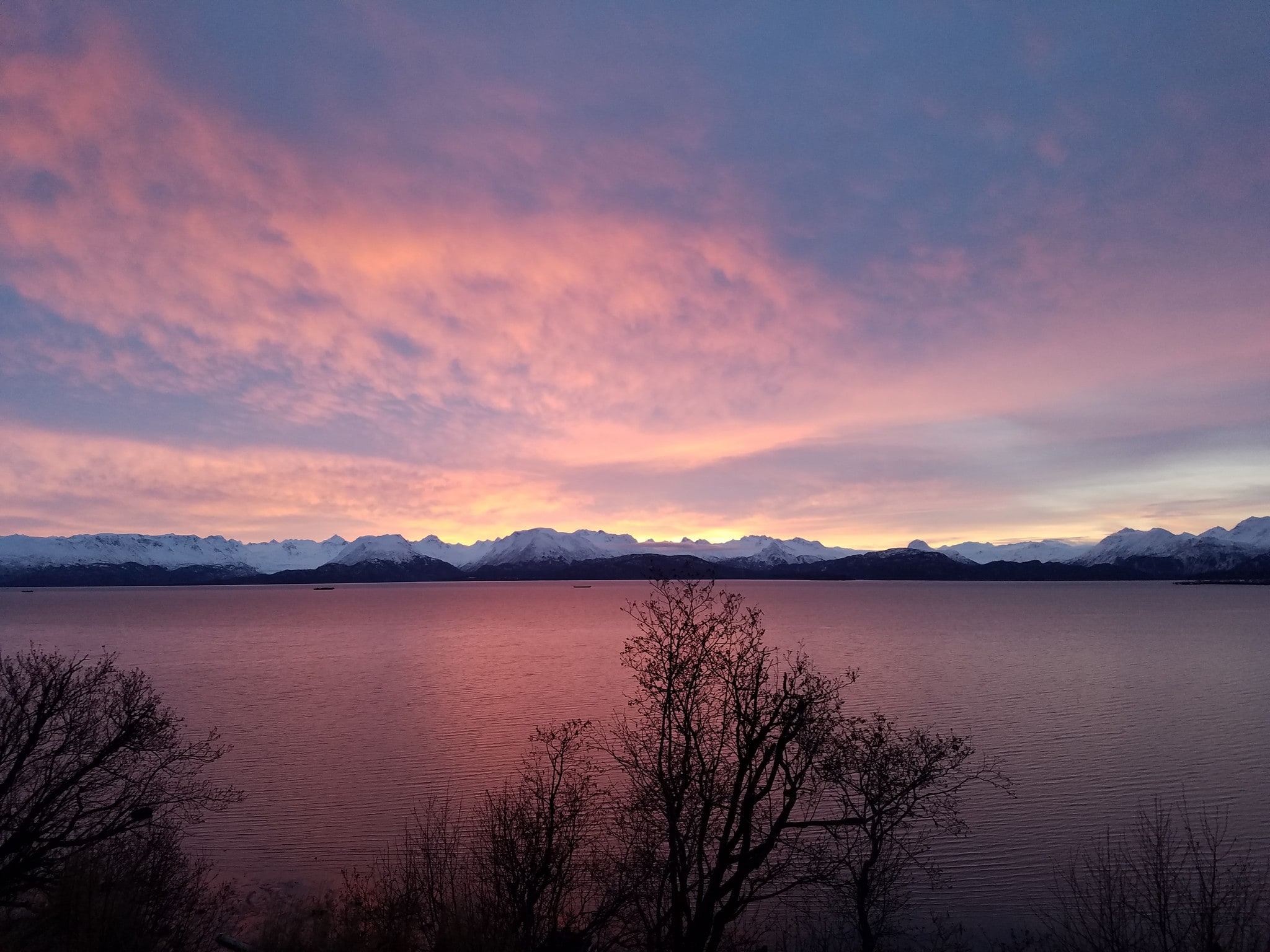 Building Photo - 3101 Kachemak Dr