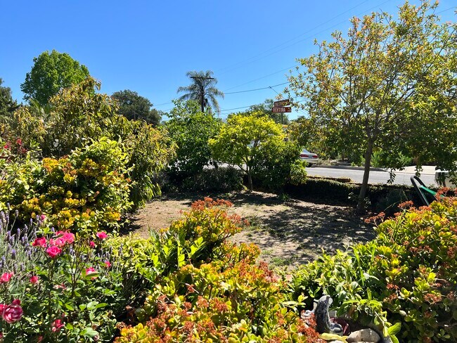 Building Photo - 2909 Ventura Dr