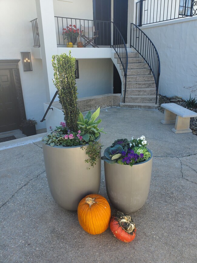 161 Melrose Ave 161 Melrose Ave Tryon NC 28782 Apartment Finder