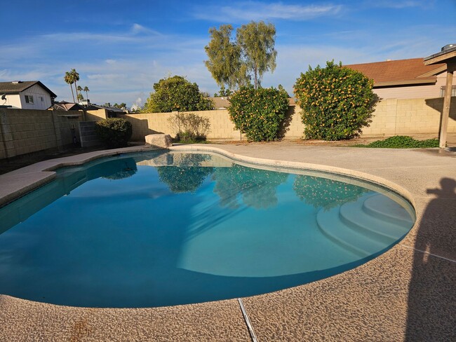 Building Photo - Stunning 4bd 2bth house in Tempe with pool