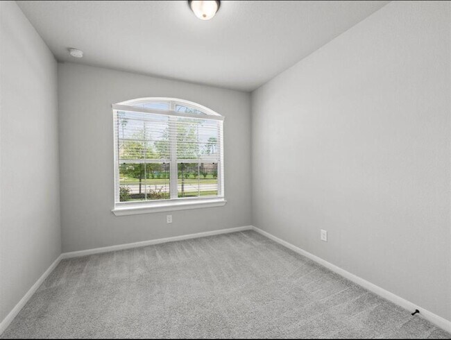 Building Photo - 311 Fanpalm Ct
