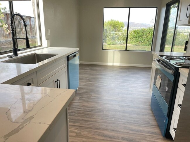 Building Photo - Beautiful Encinitas View Home