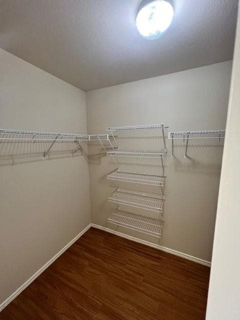 Building Photo - 804 Bull Creek Pkwy