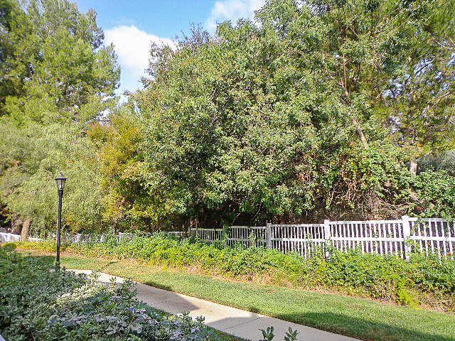 Building Photo - Beautiful 2 Bed / 2.5 Bath Condo in Fullerton